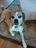 Final+Project/eyebrows.jpg