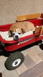 Final+Project/wagon.jpg
