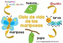 Ciclos.jpg