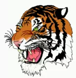 img/tiger.png