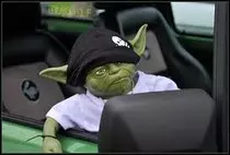 yoda.jpg