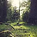 assets/img/blog/thumbs/thumb2.jpg