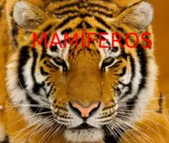 Tigre2.png
