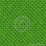 pielreptiles.jpeg