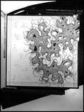 imgs/doodle0716.jpg