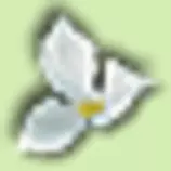Trillium/images/trilliumbullet.gif