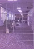 minimall purple waves inverse grid.jpg