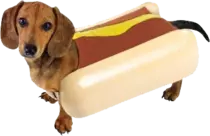 images/salchicha.png