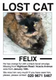Felix/felix.jpg