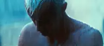 tearsinrain.gif