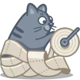 cat_paper.png