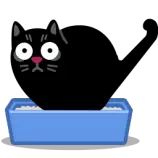 cat_poo.png
