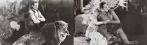 lion203.jpg