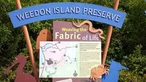 WeedonIslandPreserve.jpg