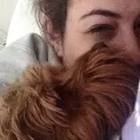 dog.jpg