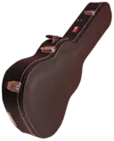images/Gator-Cases-Classical-Guitar-Cases.png