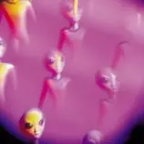 alien.jpg