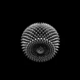 videos/120515.gif