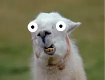 ARfinal/llama.png