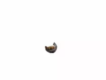 session5/assets/mouth.jpg