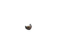 session5/assets/mouth.png
