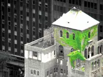visual_art/going_green_by_j_meister-d45un0c.jpg