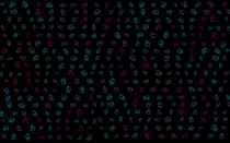 scene-background-pattern-004.gif