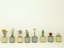 Ejercicios/imagenes/shaum4.jpg