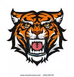 imagen svg.jpg