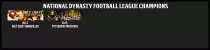 NDFL Champions Banner.jpg