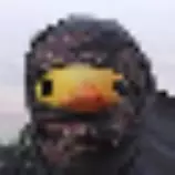 img/smallquack.png