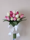 images/pink_white_tulips.jpg
