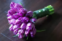 images/purple_tulips.jpg