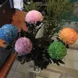 reviewFlower/CombineFlower.jpg