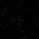 images/bg.gif