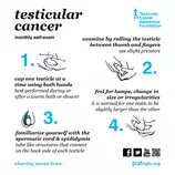 images/testicular_cancer_test.png