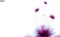 imagenes/flores.jpg