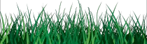 img/grass_PNG4929.png