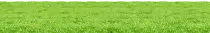 img/grass_PNG4934.png