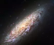 images/Galaxies/Spiral/spiral galaxy20.jpg