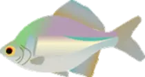 5143089.gif