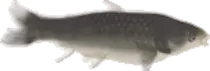 frame_0_delay-0.08s.gif