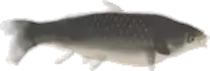frame_1_delay-0.08s.gif