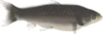 frame_3_delay-0.08s.gif