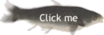 frame_s1_delay-0.08s.gif