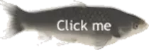 frame_s2_delay-0.08s.gif