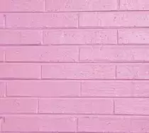 back1.jpg