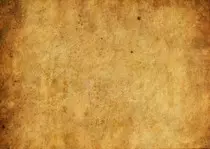 op.jpg