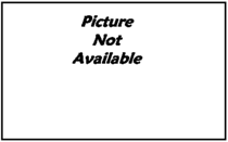 yoyioE.gif