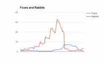 images/rabbitvswolves3.png